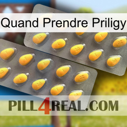 When To Take Priligy cialis2